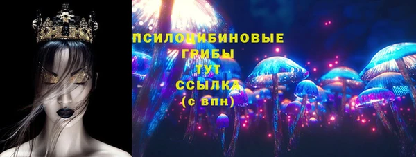 прущие грибы Медвежьегорск