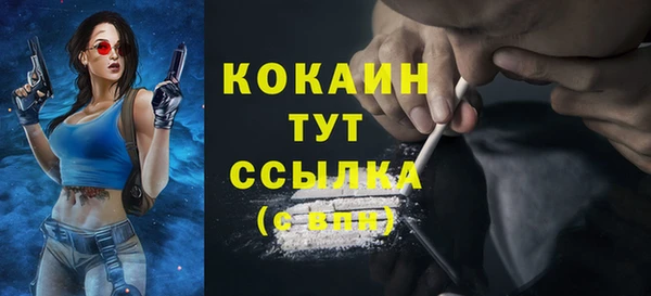 молекула духа Медногорск