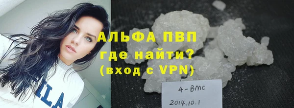 прущие грибы Медвежьегорск