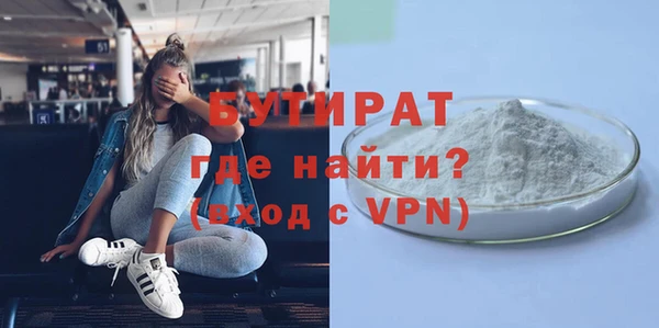 хмурый Пересвет