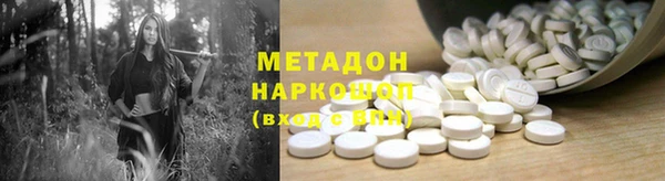 прущие грибы Медвежьегорск