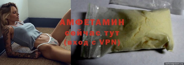 прущие грибы Медвежьегорск