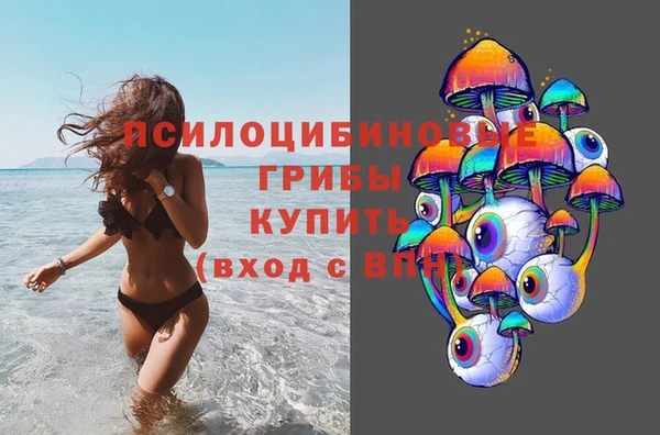 молекула духа Медногорск