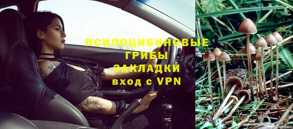 молекула духа Медногорск