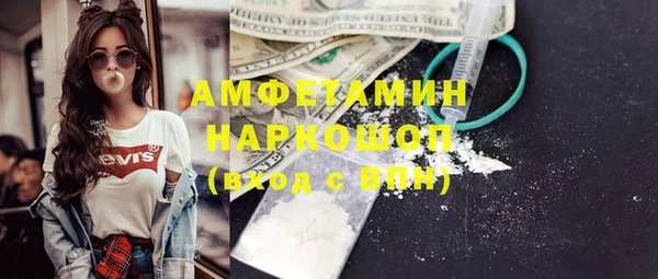 шишки Заволжье