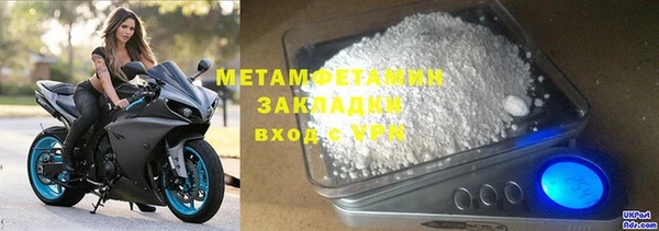 прущие грибы Медвежьегорск