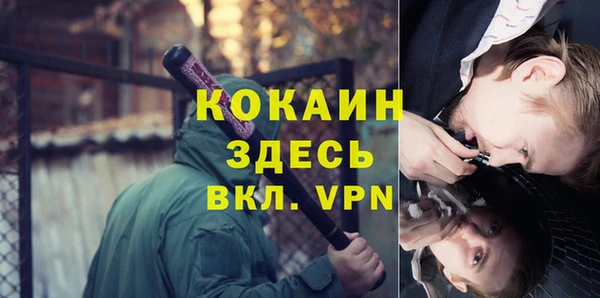 крисы Магас