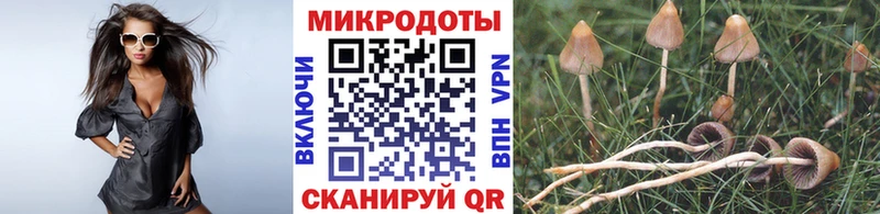 MEGA ONION  купить закладку  Микунь  Псилоцибиновые грибы Magic Shrooms 